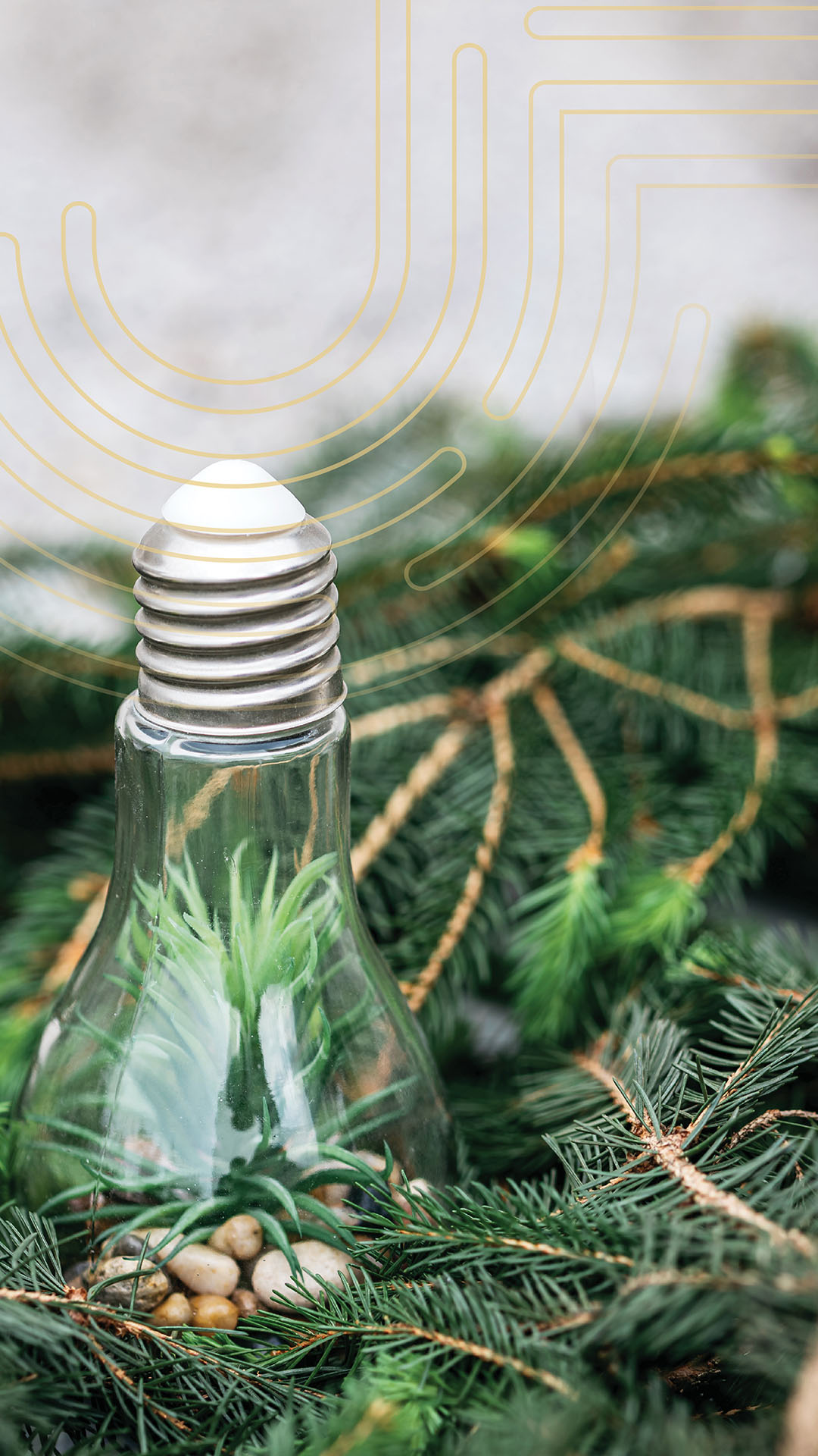 Destination Gallery Image