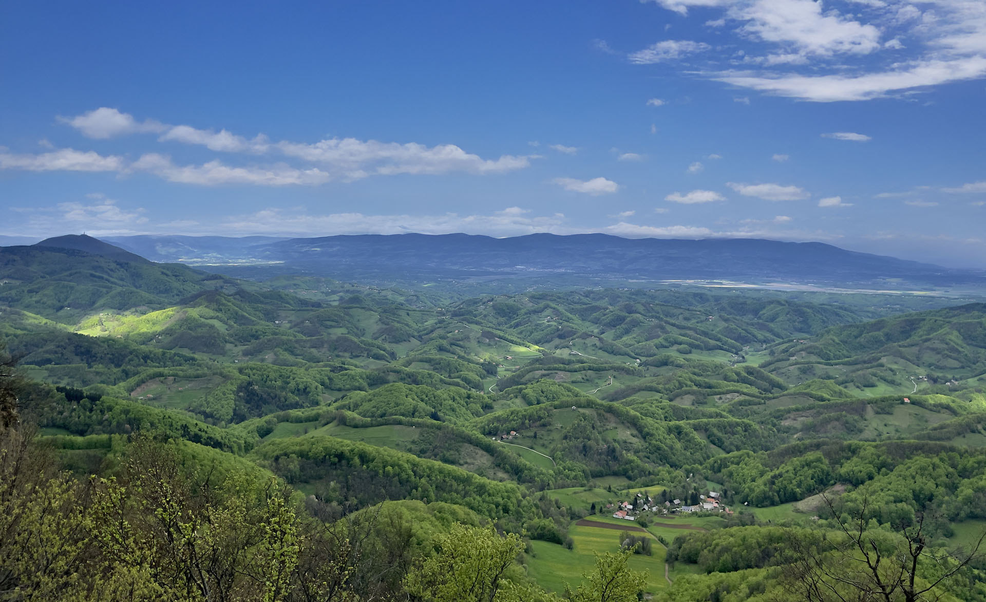 Gzero Hero Background img